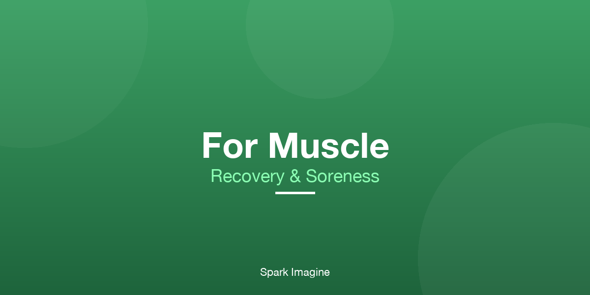 For Muscle Recovery: Massage Guns + Recovery Tools (2026) – Spark Imagine